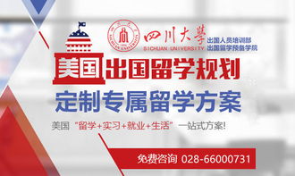 成都学生申请美国MPP项目条件解析与自费留学中介服务选择指南